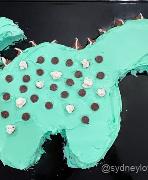 Green decorated dinosaur cake with chocolate chips and Hersey's Kisses.