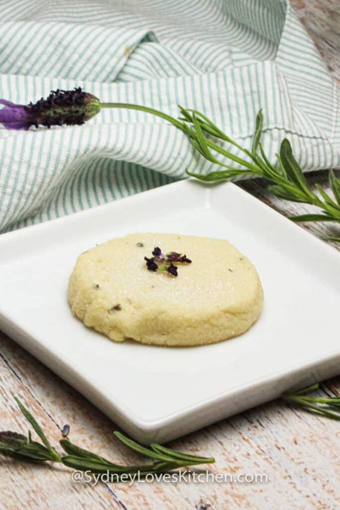one lavender shortbread cookie on a white plate with lavender flower in background.