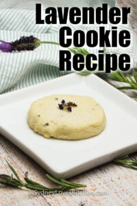 Lavender Cookie Recipe - Sydney Love's Kitchen