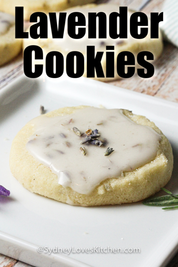 One lavender shortbread cookie on a white plate.