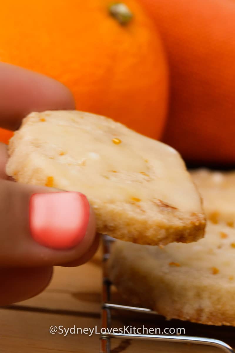 hand holding orange cookie with oranges in the background
